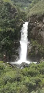 Beautiful waterfall surrounded by lush greenery, perfect for a nature wallpaper.