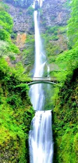 Beautiful waterfall with lush greenery and a bridge.