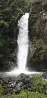 Waterfall cascading over rocks surrounded by lush greenery.