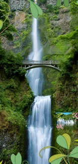 Waterfall with bridge surrounded by lush greenery.