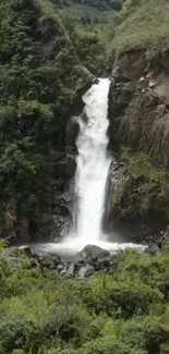 Serene waterfall with lush greenery in mobile background.