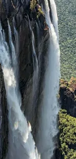 Vertical waterfall with lush greenery background.