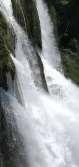 Cascading waterfall with lush green surroundings.