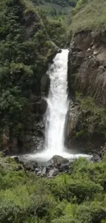 Beautiful waterfall with lush greenery.