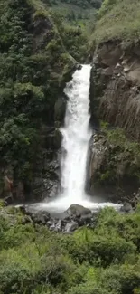 Breathtaking waterfall surrounded by lush greenery.