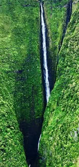 Lush green waterfall cascading down cliffs, creating a tranquil nature scene.