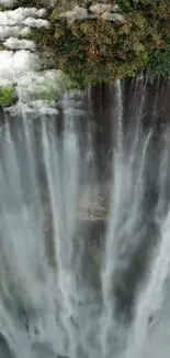 A stunning waterfall cascading amidst lush greenery for mobile wallpaper.