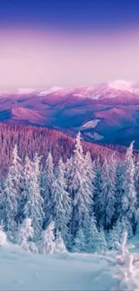 Snowy mountain and forest with pink hues.