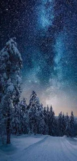 Snow-covered path under a starry night sky.