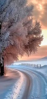 Snowy road through frosty trees at sunset.