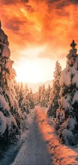 Snowy forest path during a vibrant sunset.