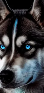 Close-up of a wolf with striking blue eyes on a dark background.