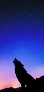 Wolf silhouette under a stunning starry night sky with gradient colors.