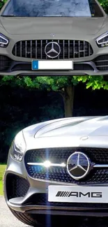 AMG car in front of lush green trees, sleek design displayed.