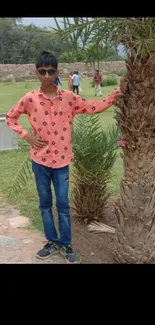 Boy in orange shirt poses beside a palm tree.