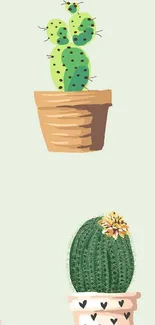 Cactus pattern wallpaper with green hues in terracotta pots.