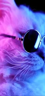 White cat with sunglasses in pink and blue neon lights.