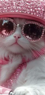 White cat wearing pink glittery glasses and helmet, looking stylish.