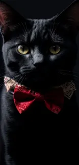 Elegant black cat wearing a red bowtie on a dark background.