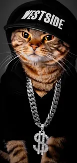 Cat in streetwear with necklace and cap.