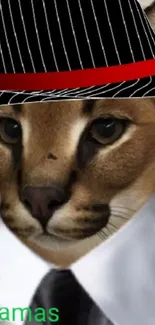 Stylish cat wearing a suit and fedora hat wallpaper.