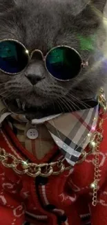 Gray cat in sunglasses wearing a red sweater with a chain necklace.