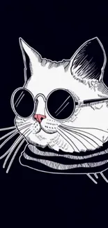 Stylish cat wearing sunglasses on a dark background.