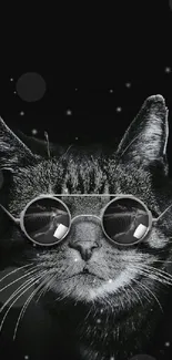 Trendy cat wearing sunglasses with a black background.