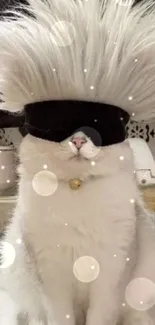 Funky white cat with spiky hair and shades in kitchen wallpaper.