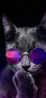 Cat wearing galaxy patterned sunglasses.