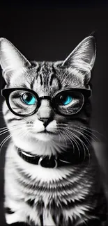 Stylish cat wearing glasses with striking blue eyes on a dark background.