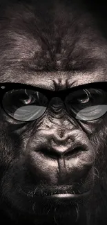 Gorilla wearing sunglasses on a dark background wallpaper.