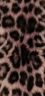 Leopard print wallpaper with natural textures and colors for mobile phones.