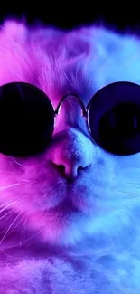 A neon cat wearing sunglasses with purple and blue glow.