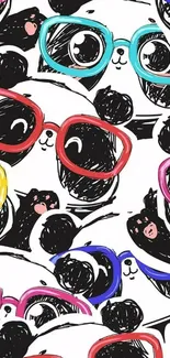 Cute pandas with colorful glasses on a white background.