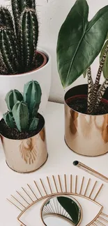 Chic indoor plant decor in gold pots.