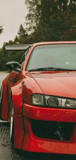 Sporty red car on a wet, tree-lined road, perfect for car enthusiasts.