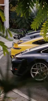 Lineup of sleek sports cars parked near lush greenery.