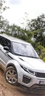 Silver SUV driving off-road through greenery and rugged terrain.