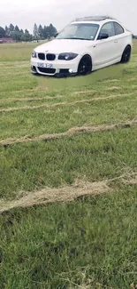 White car on a lush green field with a serene backdrop.