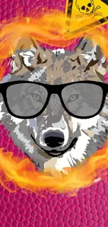 Wolf with glasses encircled by flames on a magenta background.