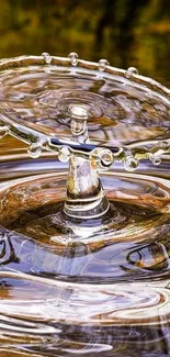 Artistic close-up of a water splash with reflection effects.