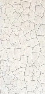 Cracked texture wallpaper with light gray tones.