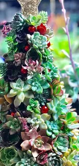 Succulent Christmas tree in festive holiday setting.