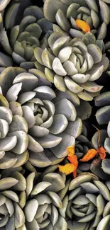 Olive green succulent plant pattern wallpaper with orange accents.