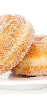 Two sugar-coated donuts on a white plate.