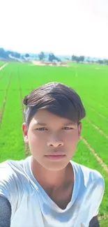 Summer Agriculture Field Live Wallpaper