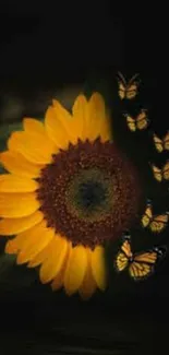 Sunflower and butterflies on dark backdrop for mobile wallpaper.