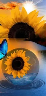 Vibrant sunflower and butterfly by the lake at sunset.