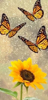 Vibrant sunflower with butterflies wallpaper